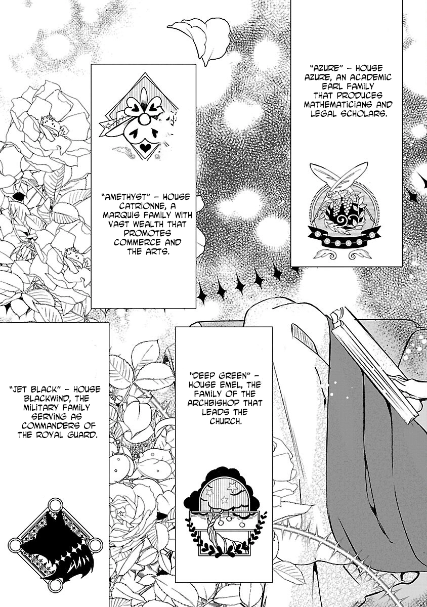 I Became My Idol’s Sister, So I’ll Be a Villainess to Keep My Brother. Chapter 4 - . Page 11